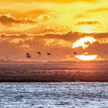 Casa de Férias Landhus - Urlaub Auf Dem Land - 4 Schlafzimmer